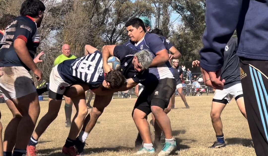 Rugby: El Club Argentino recibirá el domingo a Estudiantes de Olavarría por la primera fecha del Super 8