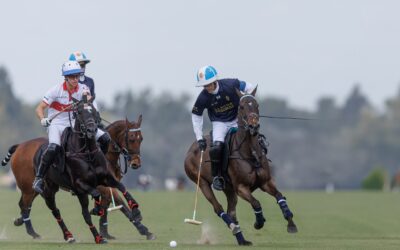 POLO: Con la participación de 20 equipos, y con cuatro patidos, este martes arranca la copa 25 de Mayo, premio Ricardo Sacco inmobiliaria