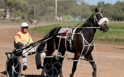 TROTE: Victoria de Albión Tenor Official en un clásico y éxito para Gora Mel Cautico en la Copa Zafiro en Pehuajó