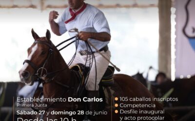 Prueba de doma de caballos de Polo en el predio del establecimiento Don Carlos en Primera Junta