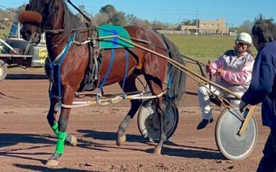 TROTE: La driver trenquelauquense Yessi Rivas junto a Albión Cory Official, en un gran momento
