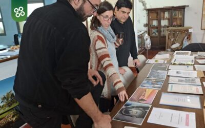 Juegos Bonaerenses: Clasificados en Pintura, Fotografía, Mural, dibujo y objeto artistico en Cultura, la etapa Regional se realizará en Trenque Lauquen
